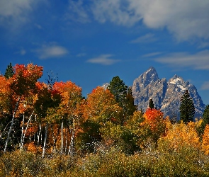 Wyoming, Narodowy, Jesień, Park