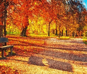 Jesień, Ławka, Park