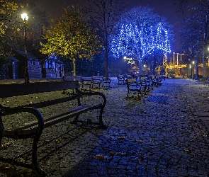 Noc, Drzewo, Domy, Ławki, Oświetlone, Ulica, Most