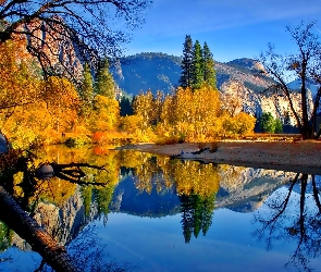 Drzewa, Góry, Jesień, Jezioro