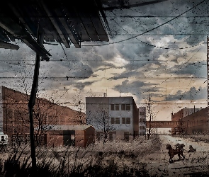 Stalker, Zew Prypeci