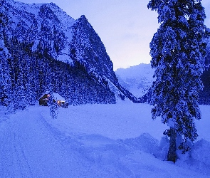 Las, Śnieg, Góry