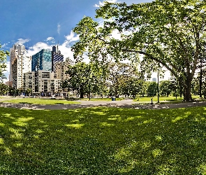 Chmur, Gardens, Drapacze, Carlton, Światło, Park,
Melbourne, Przebijające