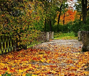 Park, Mostek, Jesień, Liście