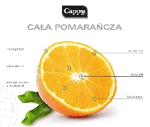 Opis, Pomarańczy