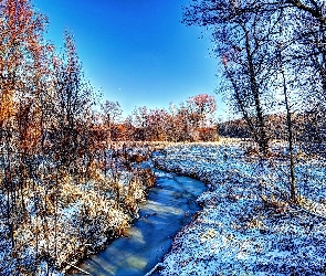 Zima, Polana, Rzeczka, Strumyk, Las