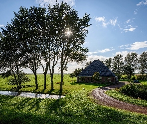 Droga, Dom, Słońca, Poranek, Wschód, Drzewa