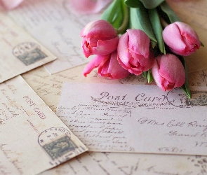 Tulipany, Listy, Kwiaty