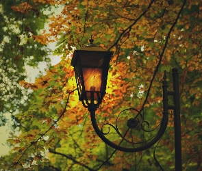 Drzewa, Park, Latarnia, Liście, Jesień