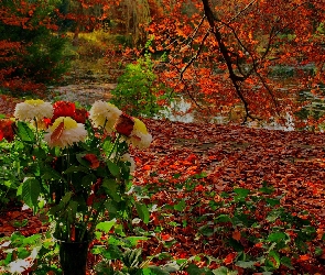 Róże, Astry, Drzewa, Jesień, Liście, Bukiet