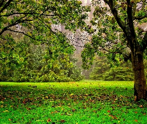 Jesień, Park