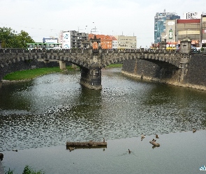 Plzeń, Rzeka, Most, Panorama, Czechy