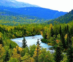 Alaska, Rzeka, Góry, Lasy