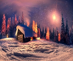 Śnieg, Zima, Blask, Drzewa, Noc, Księżyc, Domek