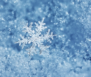 Gwiazdka, Śnieżynka, Zima, Śnieg