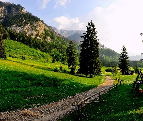 Góry, Ruiny, Niemcy, Ścieżka, Schwangau, Zamku