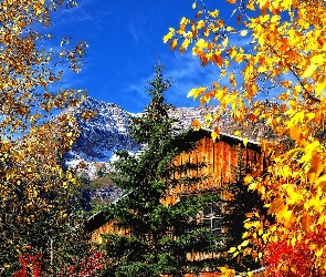 Jesień, Drzewa, Dom, Góry