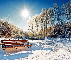 Park, Promienie Słońca, Śnieg, Zima, Drzewa, Ławka