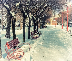 Park, Ławki, Zima, Aleja