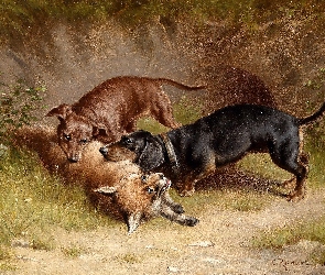 Polowanie, Na Lisa, Carl Reichert