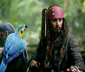 piraci_z_karaibow_2, papuga, Johnny Depp