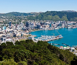 Wellington, Miasto, Nowa Zelandia