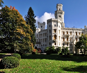 Zamek Hluboka, Drzewa, Czechy, Park, Miasto Hluboka