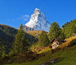 Las, Szczyt, Góry, Cień, Szopa, Łąka, Światło, Matterhorn