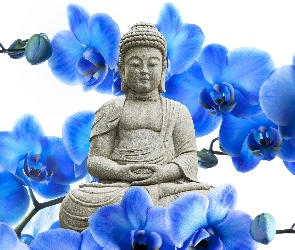 Posąg Buddy, Storczyki, Błękitne, Kwiaty