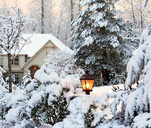 Dom, Zima, Drzewa, Ośnieżone