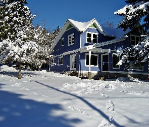 Śnieg, Dom, Zima, Drzewa