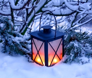 Śnieg, Zima, Gałązki, Ośnieżone, Lampion, Dekoracja
