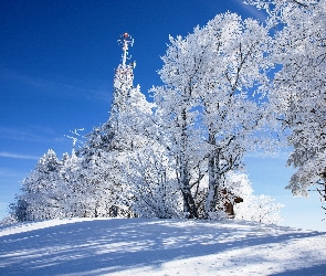 Drzewa, Domek, Zima