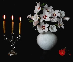 Bukiet, Swiecznik, Kwiaty