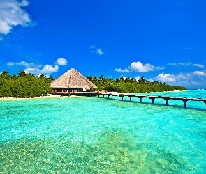 Malediwy, Las, Molo, Morze
