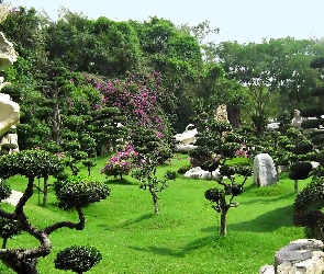 Ogród, Skały, Białe, Japoński