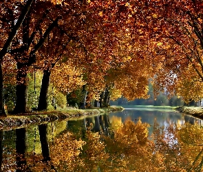 Park, Rzeka, Jesień