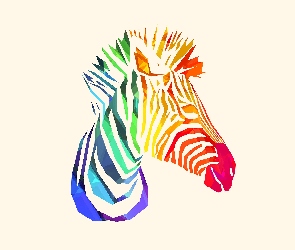 Zebra, Kolorowa