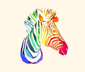 Kolorowa, Zebra