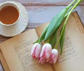 Tulipany, Herbata, Filizanka