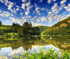 Lasy, Jezioro, Góry