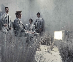 Zespół, Papa Roach