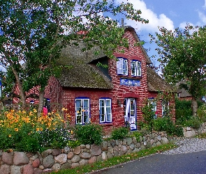Dom, Ulica