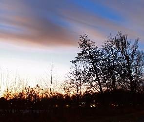 Wieczór, Niebo, Drzewa, Park
