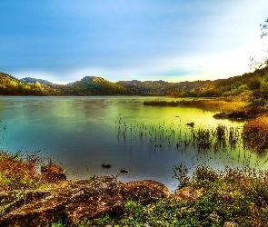 Jezioro, Zieleń