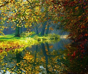 Rzeka, Park, Jesień