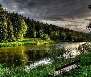 Las, Ławka, Rzeka