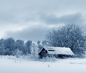 Zima, Drzewa, Dom