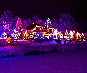 Boże, Narodzenie, Oświetlenie, Dom, Drzewa, Zima