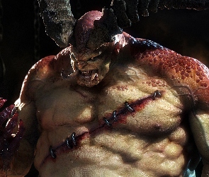 Diablo 3, Org